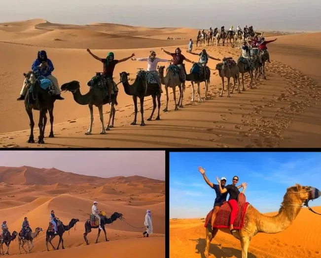 Camel Ride In Deseet Safari